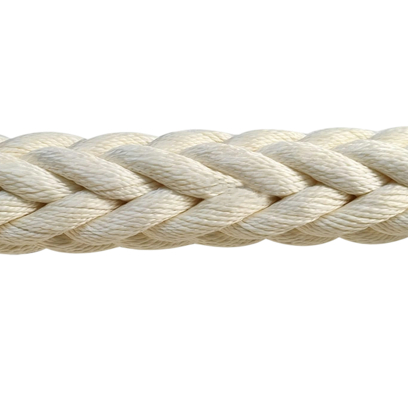 Dây/Dây neo 12 sợi Polyester,Hawser